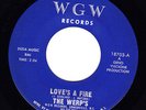 The Werp's - Love's A Fire 7