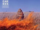 THE MACCABEES - GIVEN TO THE WILD LP VINYL NEW