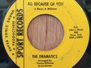 THE DRAMATICS northern soul 45 All Because Of You / Haven't Got Love   Sport