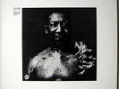 Muddy WATERS / After the rain - LP Chess