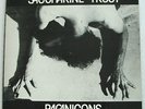 Saccharine Trust * PAGANICONS * 1981 Original Issue with Insert * Clean Disc