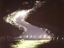 LP Screaming Trees - Before We Arise Live Green Vinyl LP Special Edition Nuovo