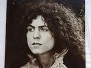 Tyrannosaurus Rex 