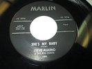 STEVE ALAIMO & RED COATS She's My Baby 45 7