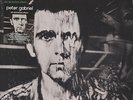 Peter Gabriel - Melt: Ein Deutsches Album Vinyl EU 2LP