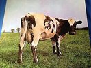 Pink Floyd- Atom Heart Mother on Harvest SKAO-382 , Lp VG+, cover VG+