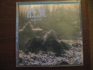 REM Murmur MFSL 200 gram LP NM/NM #0623