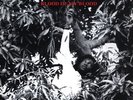 ** KEITH HUDSON FLESH OF MY SKIN BLOOD OF MY BLOOD  LP BIG VINTAGE ROOTS CLASSIC