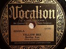 BERTHA LEE & CHARLIE PATTON VOCALION 02650 BLUES 78 RPM RECORD V+  CHARLEY