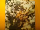PINK FLOYD - OBSCURED BY CLOUDS - LP MOLTO RARO - SHSP 4020 - 1st PRESS - NM/NM