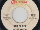 Garage Fuzz 45 - Jimmy Gordon - Buzzzzzz - Challenge - mp3 - promo