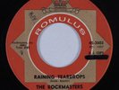 Northern Soul 45 ROCKMASTERS Raining Teardrops ROMULUS HEAR