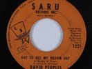 Crossover Soul 45 DAVID PEOPLES Got To Get My Broom Out SARU HEAR