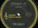 TED MULRY*REMEMBER ME*MONSTER PSYCH POP* SITAR*LISTEN