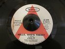 July - Hello, Who's There? / The Way - PROMO Psych 45 Epic 1968 VG+ Must See
