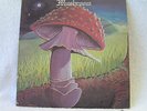 MUSHROOM Freedom You're A Woman 1978 PRIVATE USA HARD ROCK LP
