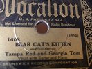 PRE WAR BLUES TAMPA RED Vocalion 1608 BEAR CAT KITTEN/ Unhappy Blues Nice E-