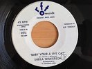 SHEILA WILKERSON Baby your a jive cat US SP TRF RECORDS NORTHERN SOUL R&B