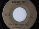 Northern Soul 45 PROFESSIONALS That's Why I Love You GROOVE CITY HEAR