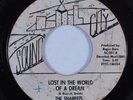 Northern Soul 45 SHARPETS Lost In The World Of A Dream SOUND CITY HEAR