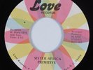 Funk/Sweet Soul 45 PRIMITIVE Sister Africa LOVE NM HEAR