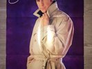 SHAKIN STEVENS 
