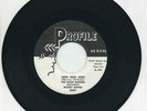 THE NIGHT RAIDERS   Hidi Hidi Hidi/Cottonpickin   rockabilly stomper   PROFILE