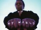 LEE & THE EXPRESSIONS FIELDS - MY WORLD (INSTRUMENTALS)  VINYL LP NEW