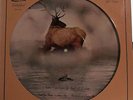 Caribou Records (Sampler Picture Disc) (L.A. Express, O.C. Smith, James Vincent)