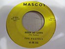 PASTELS Been So Long 45 MASCOT doo wop VG+ plays well