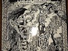 Deviated Instinct  ?– Rock 'N' Roll Conformity LP - Excellent - RARE