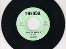 ANN PERRY THATS THE WAY HE IS 1960'S northern soul R&B on U.S. THEODA