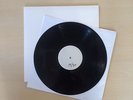 The World Is A Beautiful Place Whenever, If Ever Test Pressing out of 20