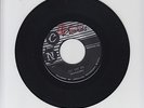 C AND N RECORDS/SALT LANE SKA  -  THE SKATALITES  (64  SKA INSTRUMENTAL  7