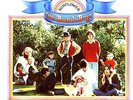 THE BEACH BOYS-SUNFLOWER-VINYL LP CAPITOL NEU