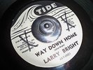 MOD R&B ROCKER 45 - WAY DOWN HOME - LARRY BRIGHT