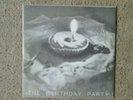 The Birthday Party - Friend Catcher 7
