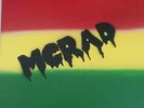 McRad Lion Pure 2 LP Test Press Skate rock punk Absense of Sanity Bad Brains HR