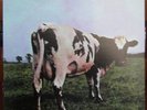 MOFI MFSL 1-202 PINK FLOYD: ATOM HEART MOTHER - 200 GR. ANADISC LTD ED. 4794 NM