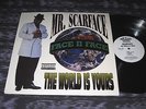 2 LP orig. 1993 The World Is Yours Mr Scarface geto boys wu tang clan mobb deep
