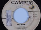 Instrumental Tittyshaker 45 RICHIE MAYO & THE PARAMOURS Crawlin' CAMPUS HEAR