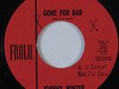 Garage/R&B 45 JOHNNY WINTER Gone For Bad FROLIC NM HEAR