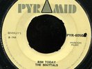 Maytals - Bim Today / Hold On UK Pyramid 7