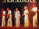 The New Seekers - Greatest Hits - Vinyl Beat/Rock/60s/70s