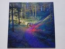 DRENGE - UNDERTOW HAND SIGNED RECORD AUTOGRAPHED