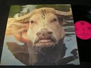 MAN 2 Ozs. Of Plastic With A Hole In The Middle / German LP 1969 PYE 88003 ET