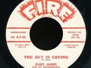 45bs-Blues-FIRE 1016-Elmo James