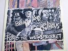 TOAD THE WET SPROCKET Bread And Circus LP RARE 1989 orig EX promo stamped