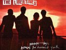 The Libertines - Anthems For Doomed Youth NEW LP