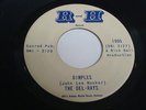 THE DEL-RAYS  Dimples / Fortune  Teller R&H 1005 Orig 1965 Garage/Surf 45